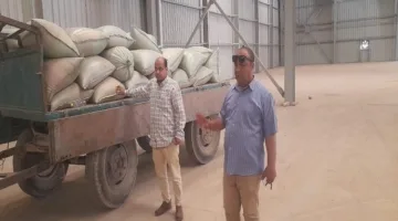 محافظ المنيا: استمرار عمليات توريد القمح بكمية 510 آلاف طن منذ انطلاق موسم 2025.