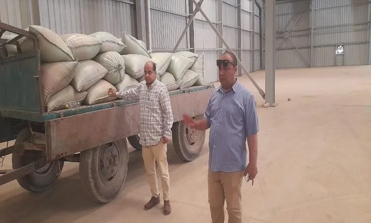 محافظ المنيا: استمرار عمليات توريد القمح بكمية 510 آلاف طن منذ انطلاق موسم 2025.