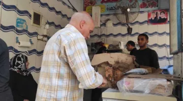 محافظ المنيا: توفير 39 مجزرًا على مستوى المحافظة لذبح الأضاحي مجانًا خلال أيام العيد