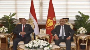محافظ بورسعيد يناقش تعميق التعاون مع رئيس الأكاديمية العربية للعلوم