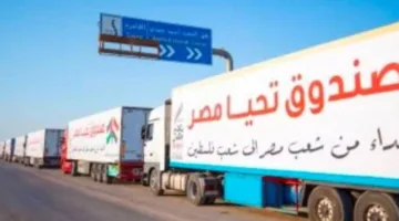 محافظ شمال سيناء يستقبل وفدًا من البرلمان العربي ويستعرض مساعي مصر في دعم غزة