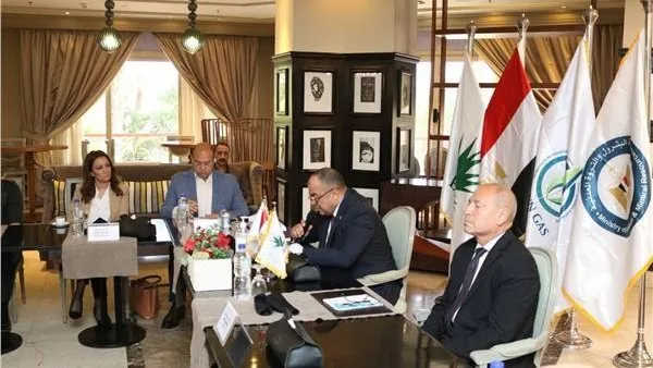 محافظة القاهرة و«تاون جاس» ينظمان ورشة عمل حول معايير السلامة