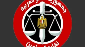 محامو مصر ينظمون احتجاجات أمام جميع المحاكم الابتدائية في أنحاء البلاد.