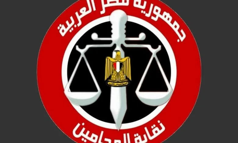 محامو مصر ينظمون احتجاجات أمام جميع المحاكم الابتدائية في أنحاء البلاد. محامو مصر ينظمون احتجاجات أمام جميع المحاكم الابتدائية في أنحاء البلاد.