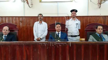 محكمة المنيا تصدر أحكامًا بالسجن المشدد على 11 فردًا بتهمة حيازة المخدرات والاتجار فيها.
