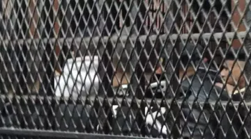 محكمة بنها تصدر حكمًا على المتهم بقتل شقيقه نتيجة نزاعات عائلية