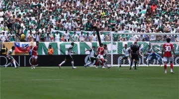 محمد عبد الجليل: الأهلي يستقطب “لاعبين محترفين”.. وأقلق من تكرار تجربة فريق الأحلام في الزمالك