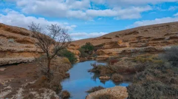 محمية الملك عبدالعزيز تعلن عن تحديثات جديدة لدخول والتجول في منطقتي الصمان والدهناء