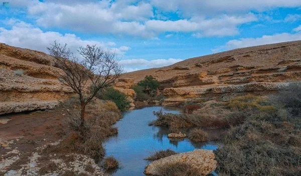 محمية الملك عبدالعزيز تعلن عن تحديثات جديدة لدخول والتجول في منطقتي الصمان والدهناء