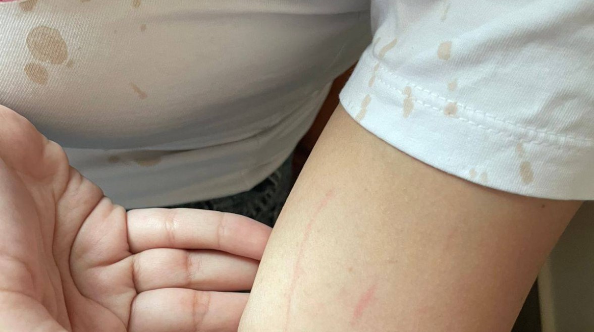 مدرسة معروفة في التجمع: مشادة بين طالبتين وسيدة وابنتها تنتهي بتسجيل محضر شرطة مدرسة معروفة في التجمع: مشادة بين طالبتين وسيدة وابنتها تنتهي بتسجيل محضر شرطة