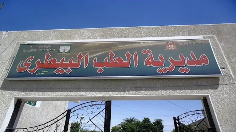 مديرية الطب البيطري في الوادي الجديد تعرض لحومًا محلية بسعر 280 جنيهًا للكيلو. مديرية الطب البيطري في الوادي الجديد تعرض لحومًا محلية بسعر 280 جنيهًا للكيلو.