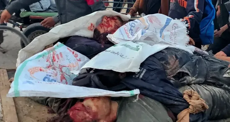 مسؤولة أممية: منظمة غزة الإنسانية تستغل المساعدات كوسيلة للنزاع والتهجير. مسؤولة أممية: منظمة غزة الإنسانية تستغل المساعدات كوسيلة للنزاع والتهجير.