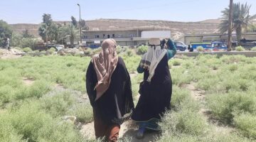 «مساعدات الملك سلمان» تكثف جهودها في تقديم العون الإنساني والطبي بسوريا والصومال واليمن.