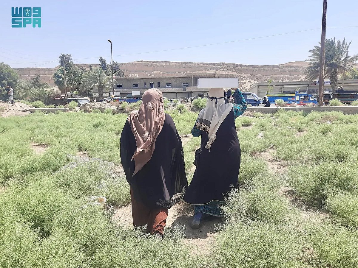 «مساعدات الملك سلمان» تكثف جهودها في تقديم العون الإنساني والطبي بسوريا والصومال واليمن. «مساعدات الملك سلمان» تكثف جهودها في تقديم العون الإنساني والطبي بسوريا والصومال واليمن.