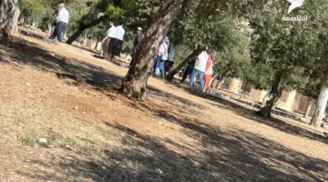 مستوطنون يدخلون المسجد الأقصى بشكل غير قانوني