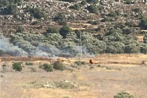 مستوطنون يشعلون النيران في الأراضي الزراعية في ترمسعيا