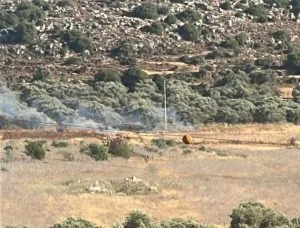 مستوطنون يشعلون النيران في الأراضي الزراعية في ترمسعيا مستوطنون يشعلون النيران في الأراضي الزراعية في ترمسعيا