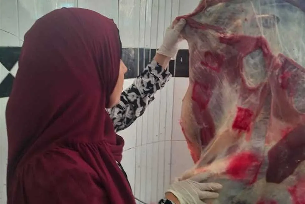 مصادرة كميات من اللحوم الحمراء والبيضاء الفاسدة خلال حملة بيطرية في شمال سيناء مصادرة كميات من اللحوم الحمراء والبيضاء الفاسدة خلال حملة بيطرية في شمال سيناء
