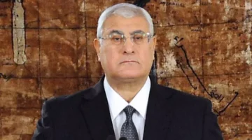 مصدر يزيل الشكوك حول تصريحات منسوبة للمستشار عدلي منصور بشأن صراع الشرق الأوسط
