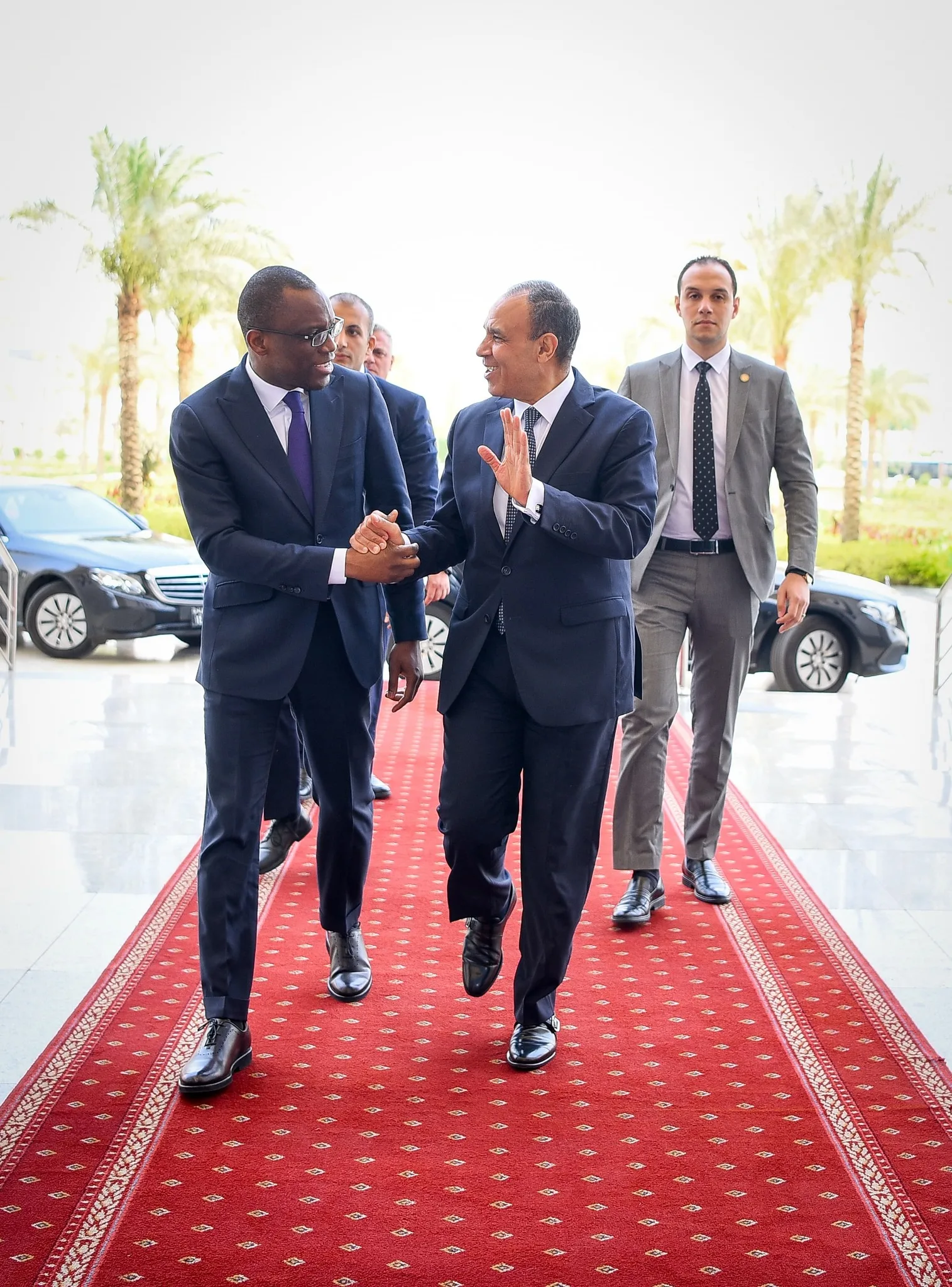مصر تؤكد على ضرورة تعزيز الأمن والاستقرار في منطقة الساحل وغرب أفريقيا