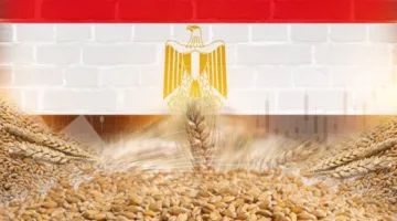 مصر تبدأ في شحن أول دفعة من القمح الفرنسي