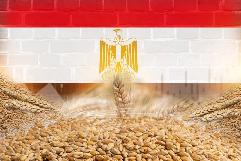 مصر تبدأ في شحن أول دفعة من القمح الفرنسي