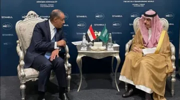مصر تشدد على أهمية التعاون مع السعودية في مجالات الطاقة المتجددة والأمن الغذائي