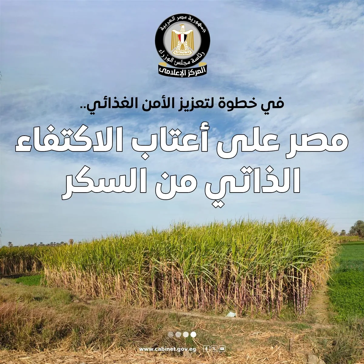 مصر تصل إلى الاكتفاء الذاتي من السكر بحلول 2026 تحت قيادة الرئيس السيسي