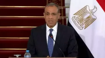 مصر تعلن تأييدها لوحدة سوريا وتدعو لإنهاء وجود المقاتلين الأجانب
