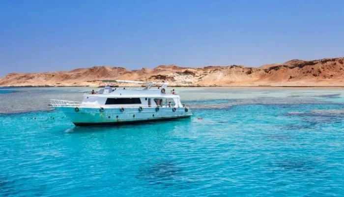 مصر توضح حقيقة بيع “أراضي فريدة” على البحر الأحمر: “صكوك تضمن السيادة” مصر توضح حقيقة بيع “أراضي فريدة” على البحر الأحمر: “صكوك تضمن السيادة”