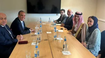 مصر والسعودية تؤكدان على ضرورة إعلان وقف إطلاق النار في غزة