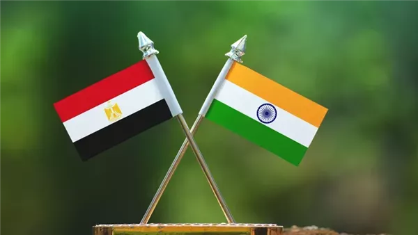 مصر والهند: تعاون تكنولوجي يستهدف الأسواق العالمية (تفاصيل)