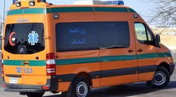 مصرع طفلة جراء دهسها تحت عجلات سيارة في طما بسوهاج