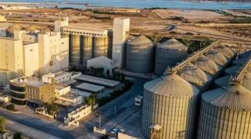 مطاحن صلالة توقِّع عقدًا لاستيراد 110 آلاف طن من القمح من روسيا