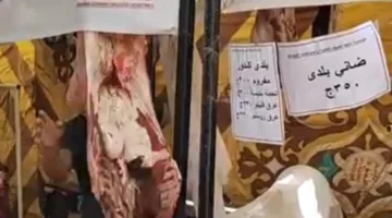 معرض “مرحباً بالعيد”.. بعيداً عن المنافسة