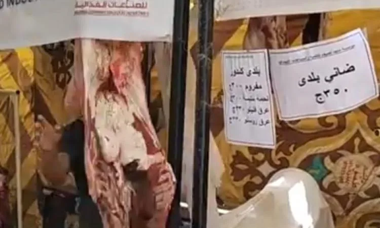معرض “مرحباً بالعيد”.. بعيداً عن المنافسة معرض “مرحباً بالعيد”.. بعيداً عن المنافسة
