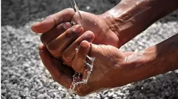 مفتٍ: تناول “لحم الجِمال” لا يبطِل الوضوء