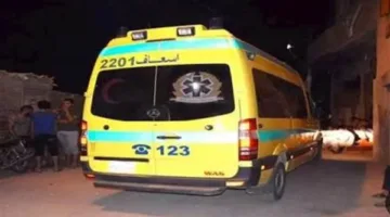 مقتل 3 عمال وإصابة آخرين نتيجة انهيار مدخنة مصنع طوب في الصف… والنيابة تبدأ التحقيقات