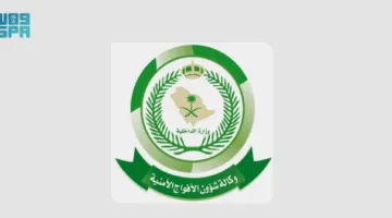 مقتل 49 فردًا بسبب الفيضانات العنيفة في كيب الشرقية بجنوب أفريقيا
