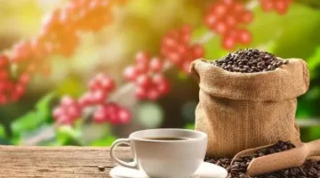 بحث: مادة طبيعية في القهوة والأرز تساهم في حماية القلب من النوبات القلبية