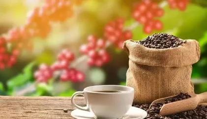 بحث: مادة طبيعية في القهوة والأرز تساهم في حماية القلب من النوبات القلبية بحث: مادة طبيعية في القهوة والأرز تساهم في حماية القلب من النوبات القلبية