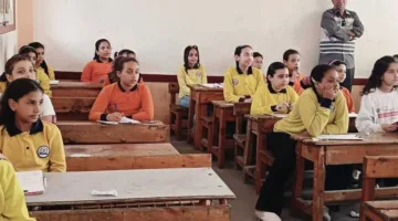 من خلال الخط الساخن.. الاستعلام عن نتائج الصف السادس الابتدائي الترم الثاني 2025 في الجيزة (عند صدورها)