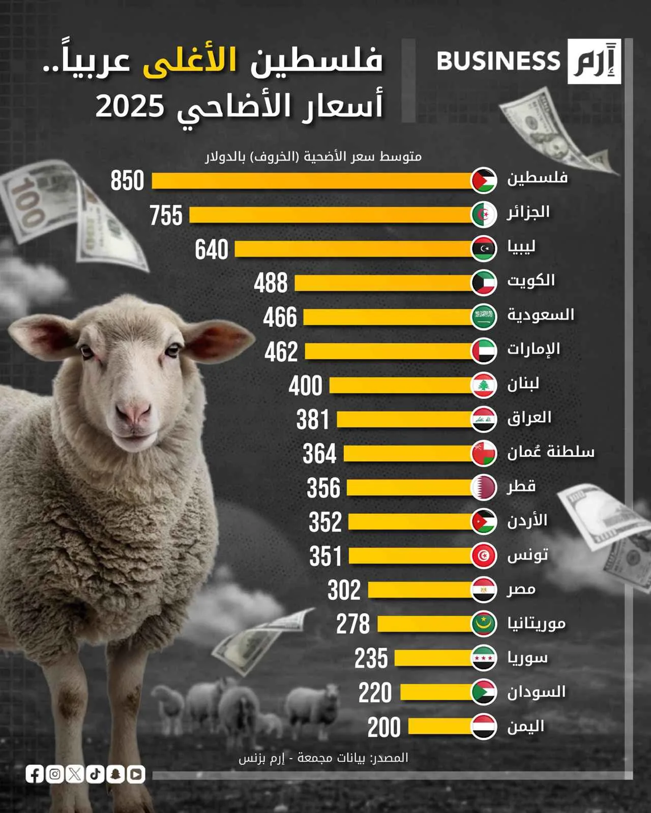 من فلسطين إلى اليمن: دليل أسعار الأضاحي لعام 2025