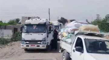 منذ انطلاق حصاد القمح.. تم تسليم 596.8 ألف طن لمراكز التخزين في الشرقية