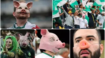 مواجهة بين الخنازير والأهلي: قصة ‘إهانة لبنانية’ تحولت إلى لقب فخري بفضل جمهور بالميراس (صور)