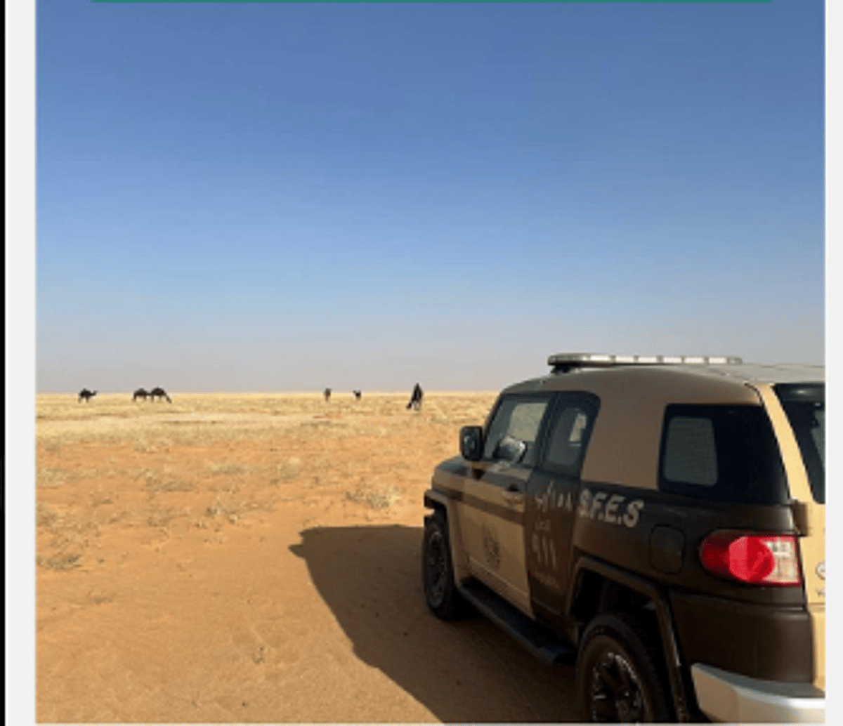 مواطن يُضبط بسبب انتهاك قواعد الرعي في محمية الإمام عبدالعزيز بن محمد الملكية مواطن يُضبط بسبب انتهاك قواعد الرعي في محمية الإمام عبدالعزيز بن محمد الملكية