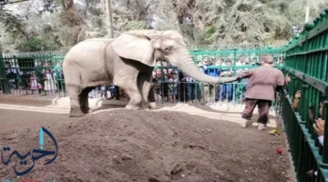 موعد افتتاح حديقة الحيوانات في الجيزة… جميع التفاصيل هنا
