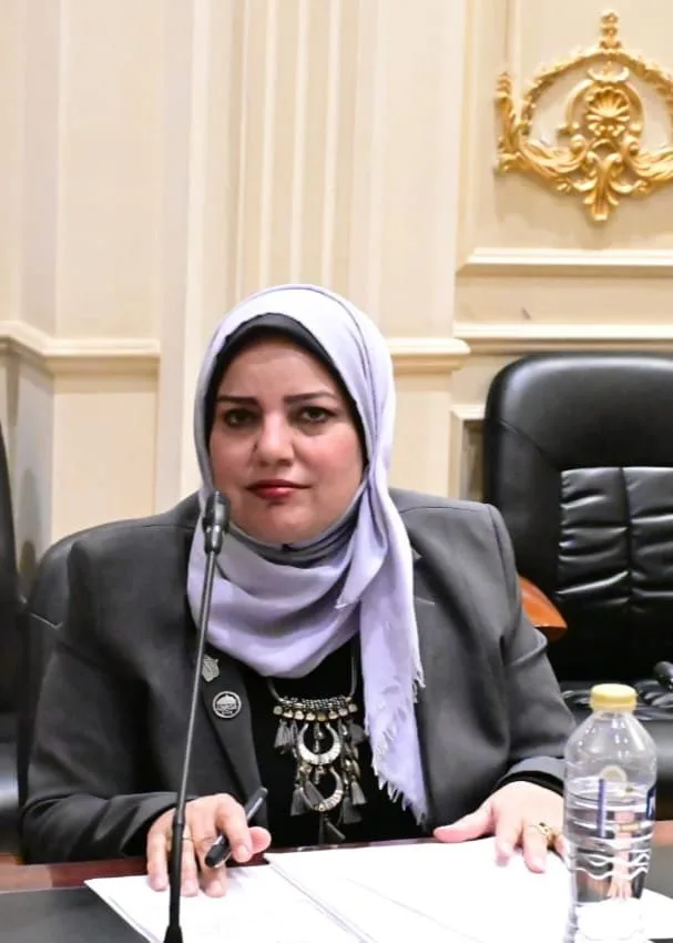نائبة التجمع في المنوفية تدعو لفتح لجنة للتحقيق من خبراء الطرق والمرور لتحديد مواقع الخطر على الدائري الإقليمي.