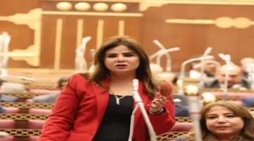 نائبة برلمانية: ثورة 30 يونيو أنهت الفوضى ووضعت أسس مسار سيادي جديد