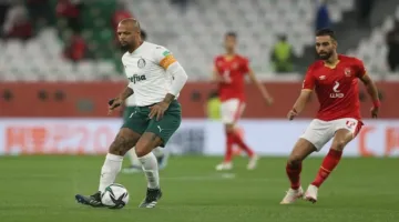 نادي القرن في أفريقيا.. لاعب سابق في بالميراس يثني على الأهلي
